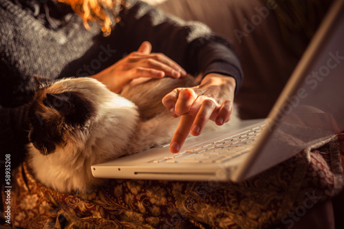 Woman working on laptop with her birman cat