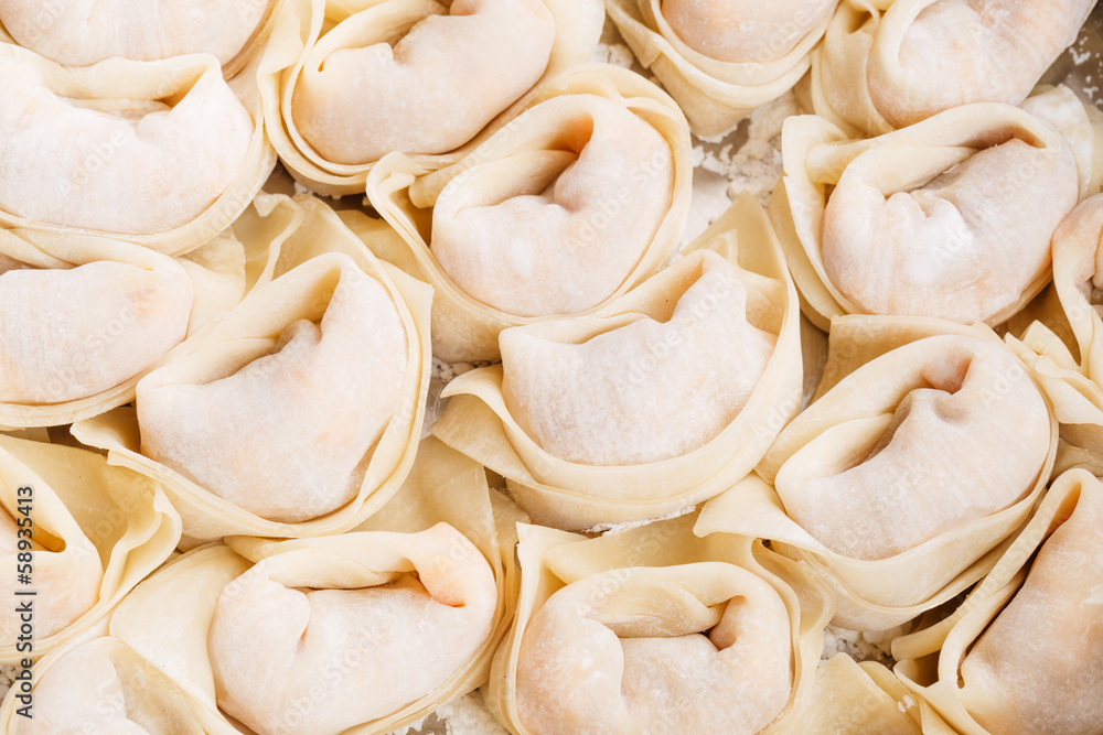 Chinese dumpling Chinese dumpling