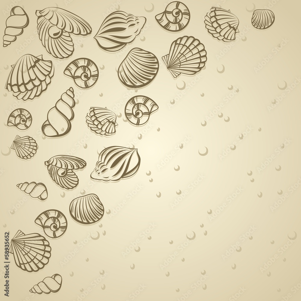 Seashell card Seashell card