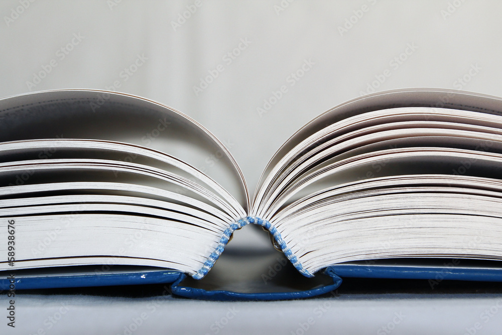 Obraz premium Open book