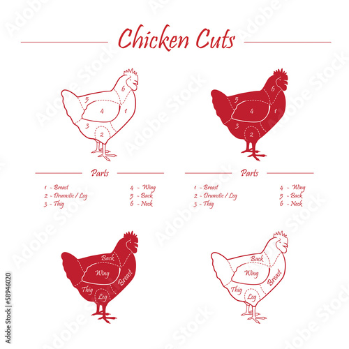 CHICKEN_CUTS_SHEME-blackboard