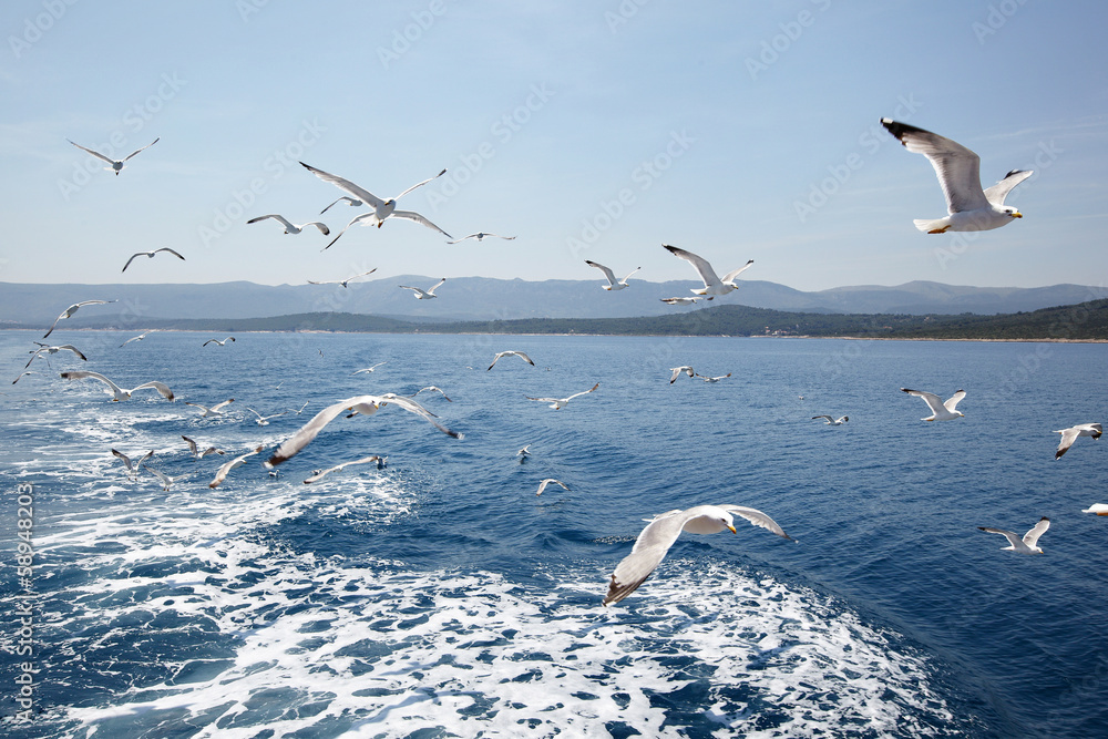 Naklejka premium Seagulls against sea and sky