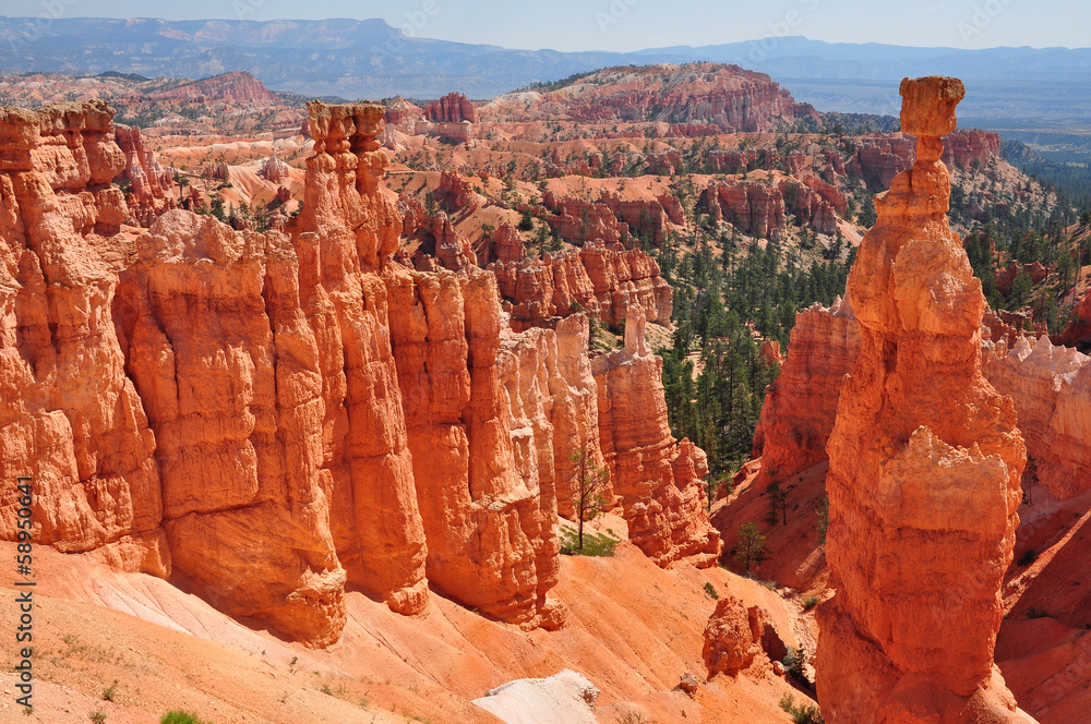 Panorama of Bryce Canyon Utah, USA