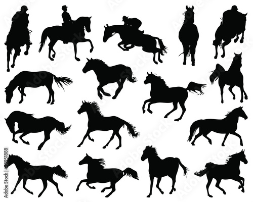 Black silhouettes of horses, vector illustration