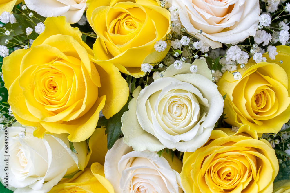Naklejka premium Bouquet of yellow and white roses