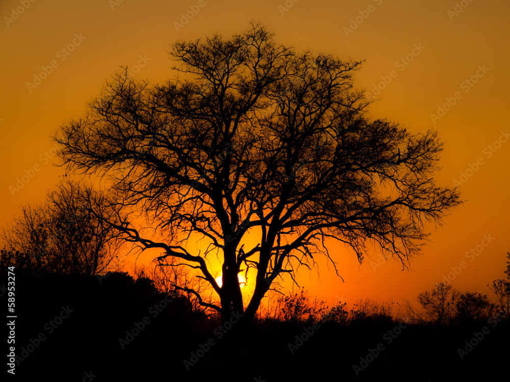 African sunset