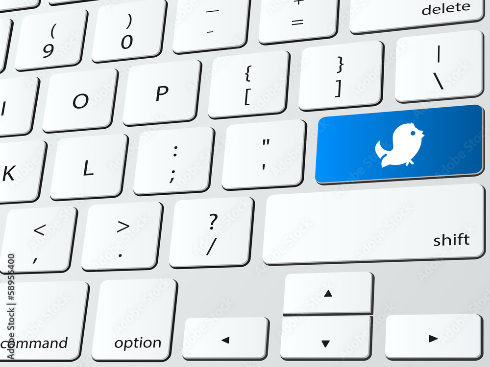 Bird tweet computer keyboard icon Stock Vector Adobe Stock