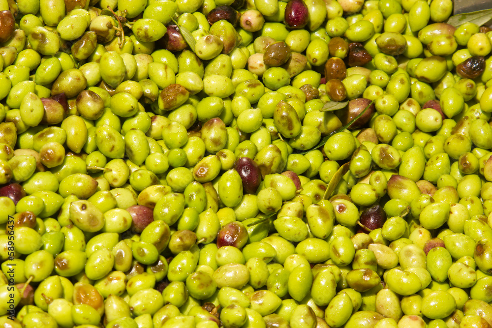 closeup of olives in a olive oil machine closeup of olives in a olive oil machine