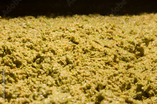 closeup of olives in a olive oil machine
