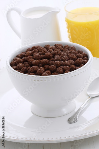 Delicious cocoa cereal