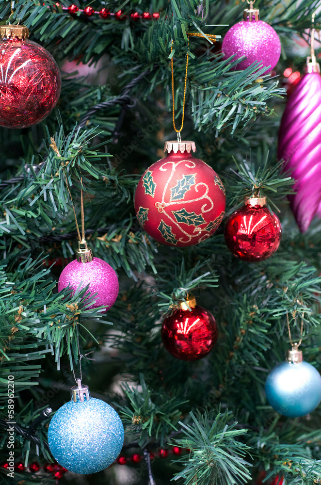 Fototapeta premium Christmas Tree