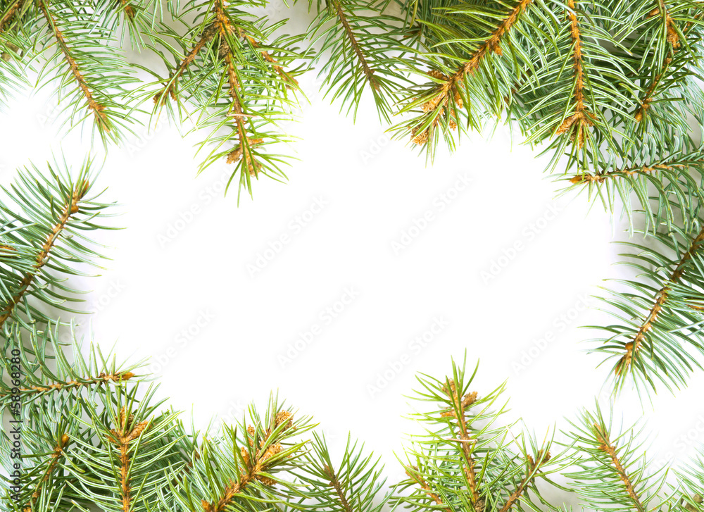 Chrismastree Chrismastree