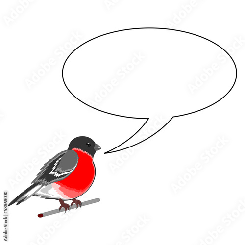 A funny bullfinch with a chatting bubble