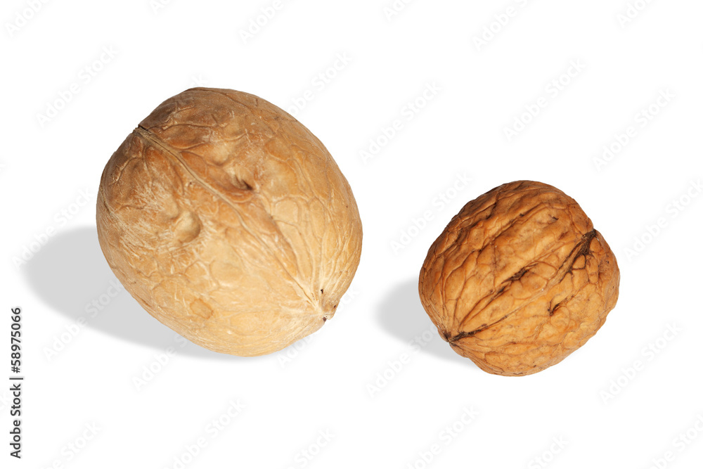 Walnuts Walnuts