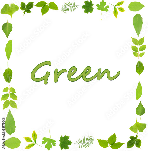 Wallpaper Mural Frame of green leaves isolated on white Torontodigital.ca