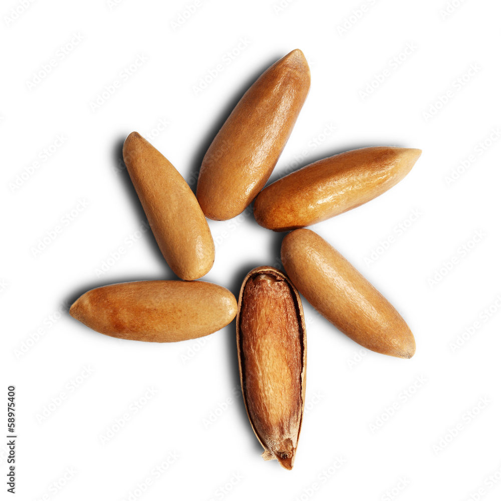 Obraz premium Pine nuts