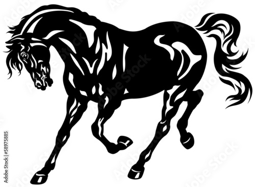 Fototapeta Naklejka Na Ścianę i Meble -  running black horse