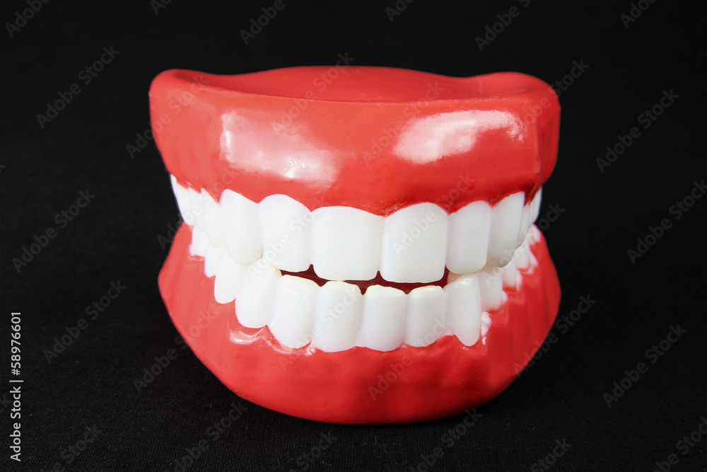 Obraz premium Denture Mode