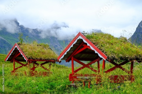 Photo Traditional norwegian arbour standing in a lush