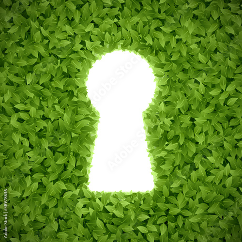 Green hedge with keyhole
