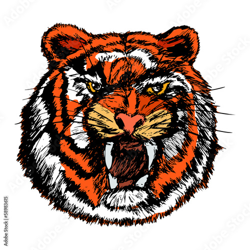 tiger