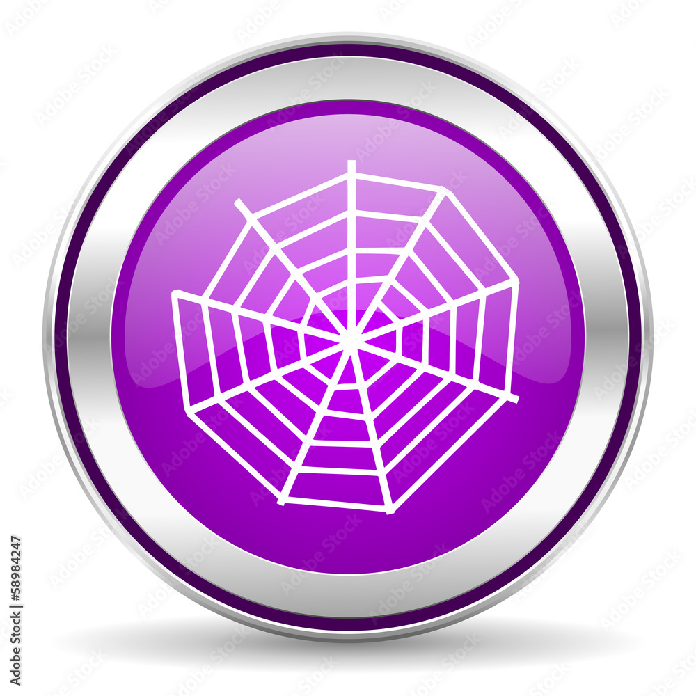 spider web spider web