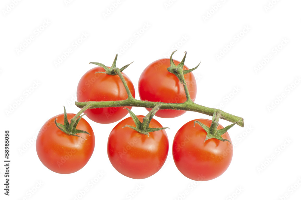 Ripe tomatoes isolated