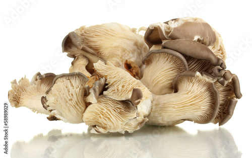 Fresh mushrooms isolated on white