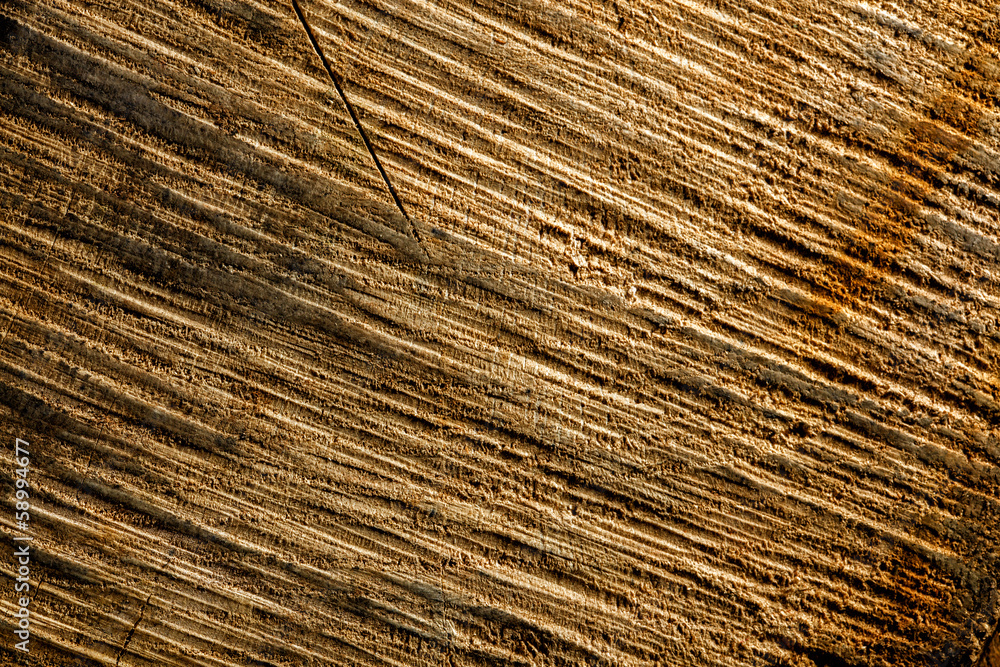 wood texture wood texture
