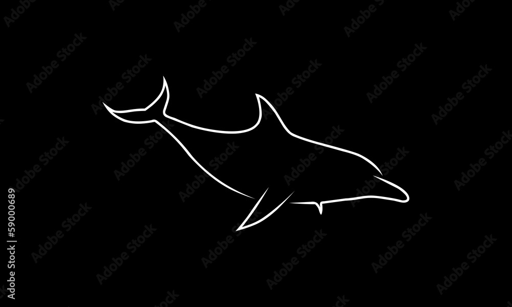 Obraz premium Wektor delfinów