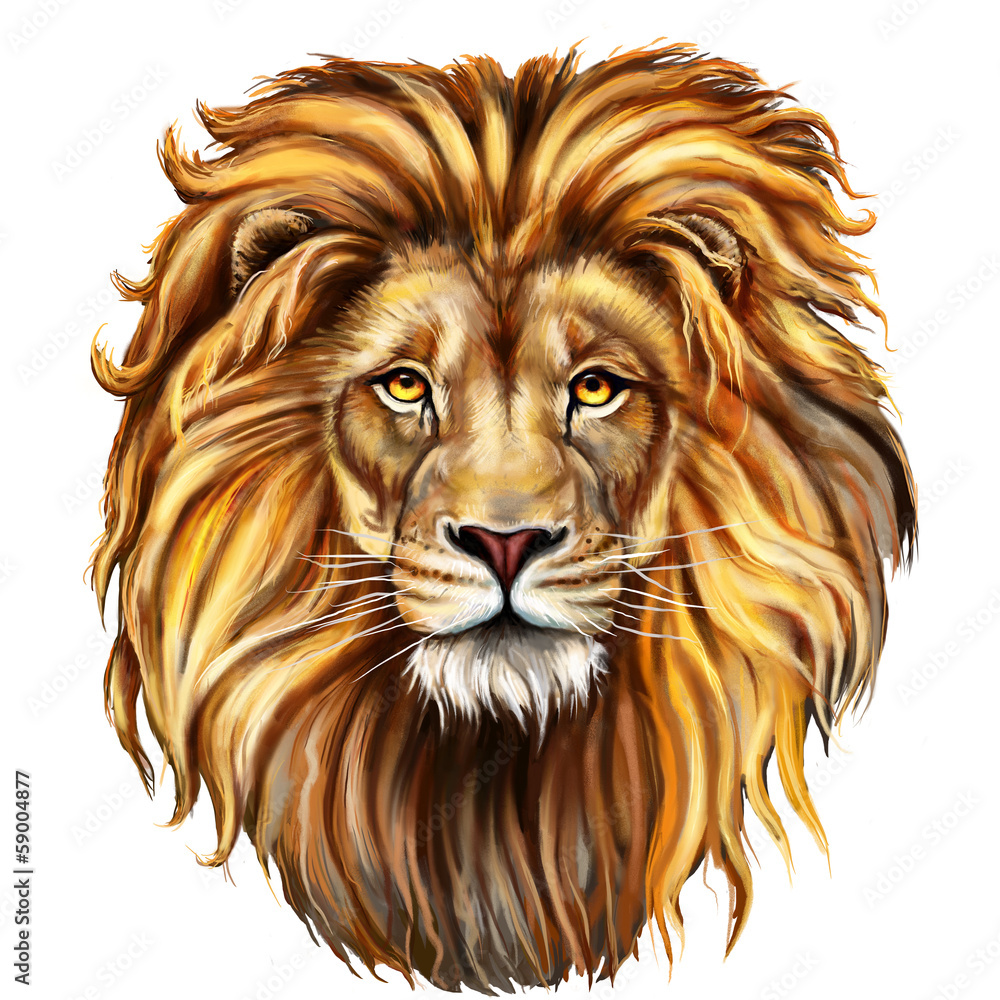 Obraz premium głowa lwa z przodu