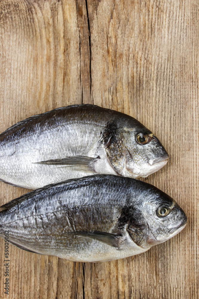 Gilt-head bream fish on wooden background. Mediterranean tavern, Gilt-head bream fish on wooden background. Mediterranean tavern,