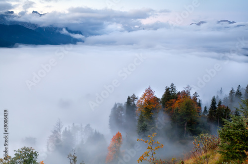 fog in Alps during autumn © Olha Rohulya