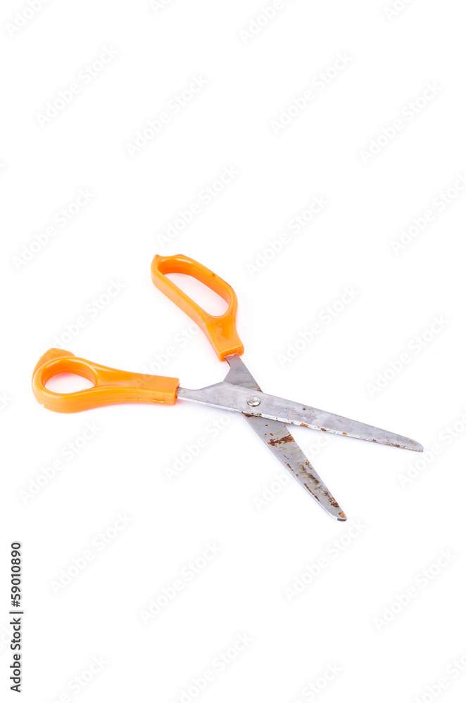 Obraz premium scissors rust