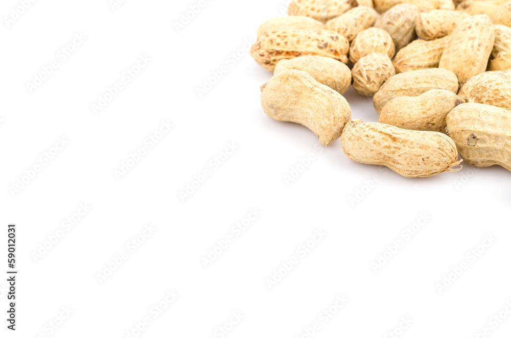 Peanut Peanut