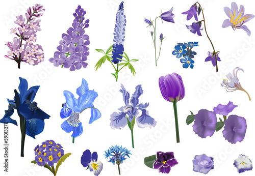 Fototapeta Naklejka Na Ścianę i Meble -  set of isolated violet flowers collection