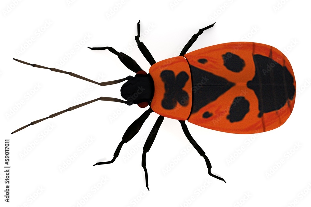 realistic 3d render of firebug realistic 3d render of firebug