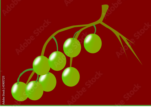Un pò di vino ??