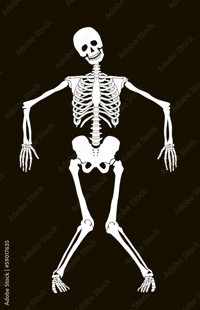 Funny vector skeleton isolated over black. Halloween design Funny vector skeleton isolated over black. Halloween design