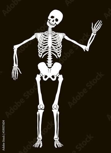 Funny vector skeleton isolated over black. Halloween design