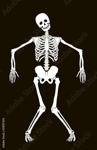 Funny vector skeleton isolated over black. Halloween design © vadimmmus