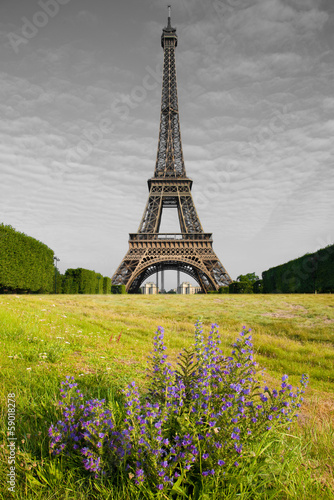 Fototapeta la Tour Eiffel
