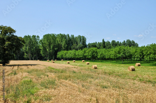 France, field in Sainte Mondane in perigord photo