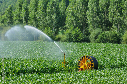 watering in a corn field in Proissans in Perigord photo