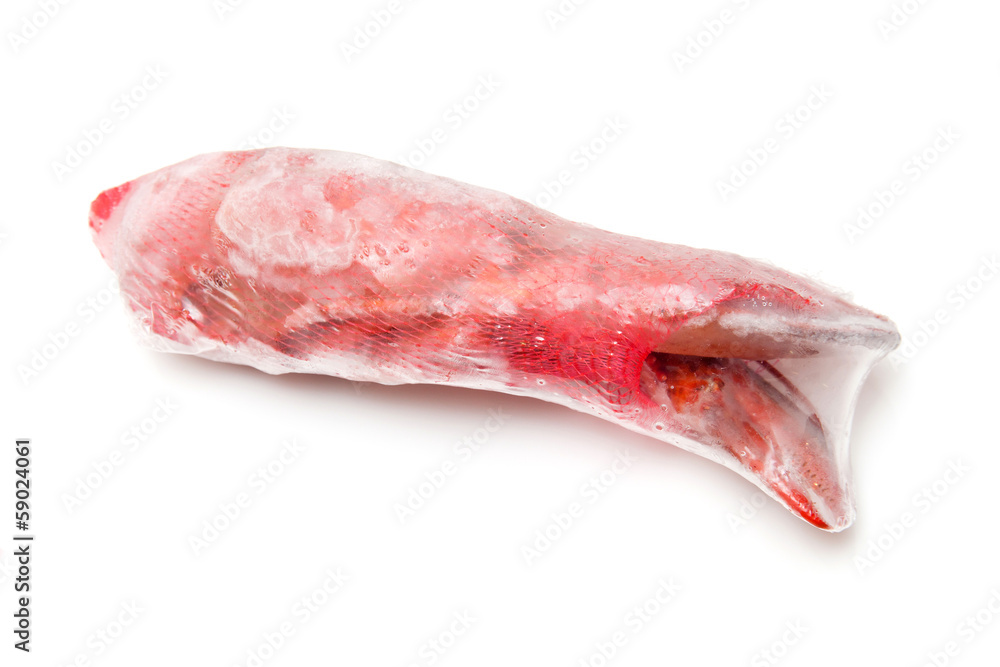 Frozen Canadian lobster isolated on a white studio Backgroun Frozen Canadian lobster isolated on a white studio Backgroun
