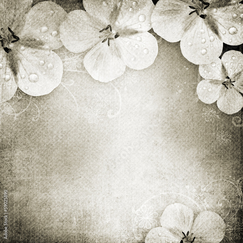 Vintage romantic background with flowers