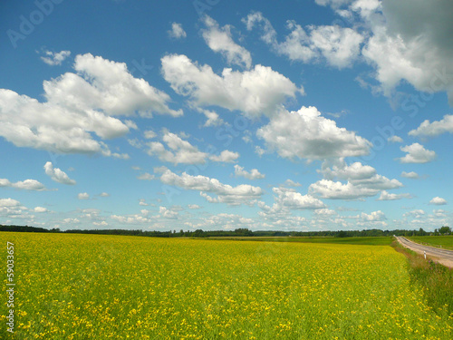 Sommer in Letlland photo