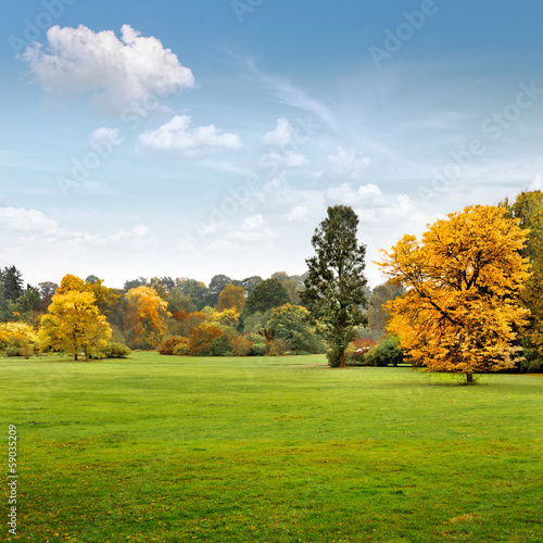 Panorama. Beautiful autumn trees. Autumn.
