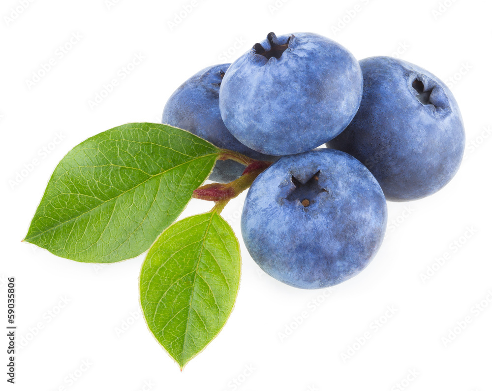 Obraz premium blueberries