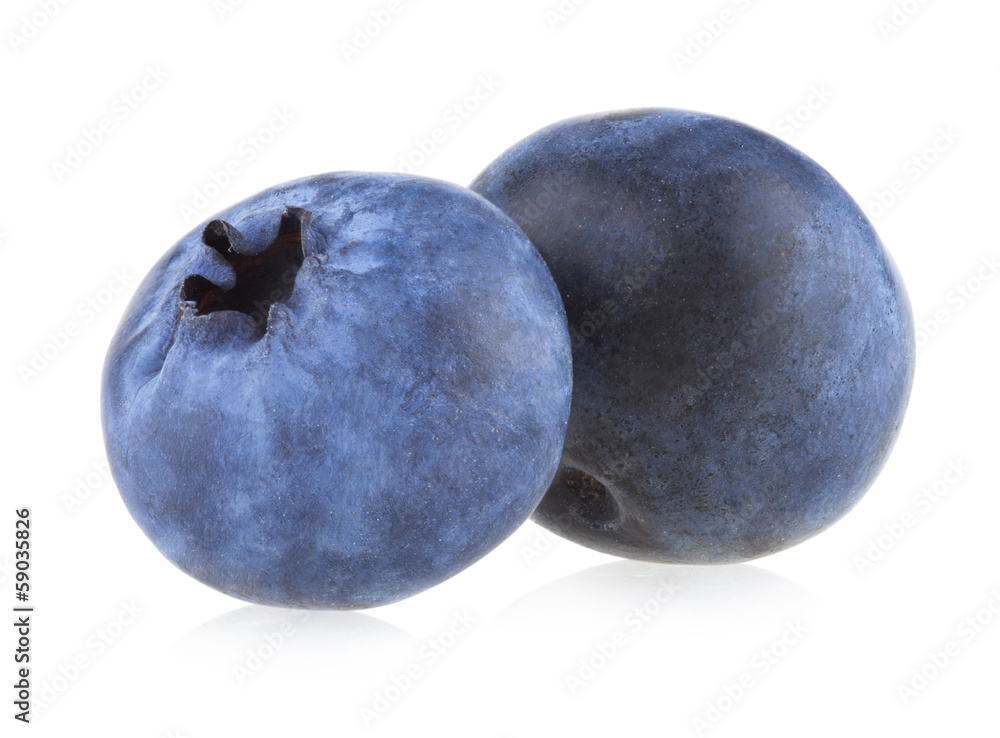 Fototapeta premium blueberries